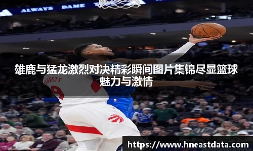 雄鹿与猛龙激烈对决精彩瞬间图片集锦尽显篮球魅力与激情